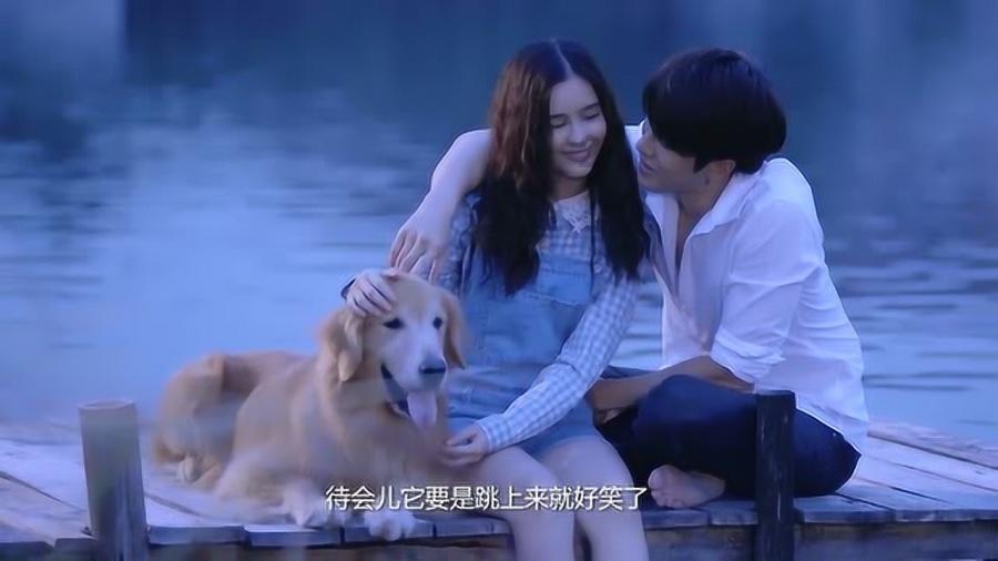 逗小猴开心系列197